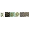 Reactive Green Spectrum Dry Crystals Reactive Green Spectrum Dry Crystals