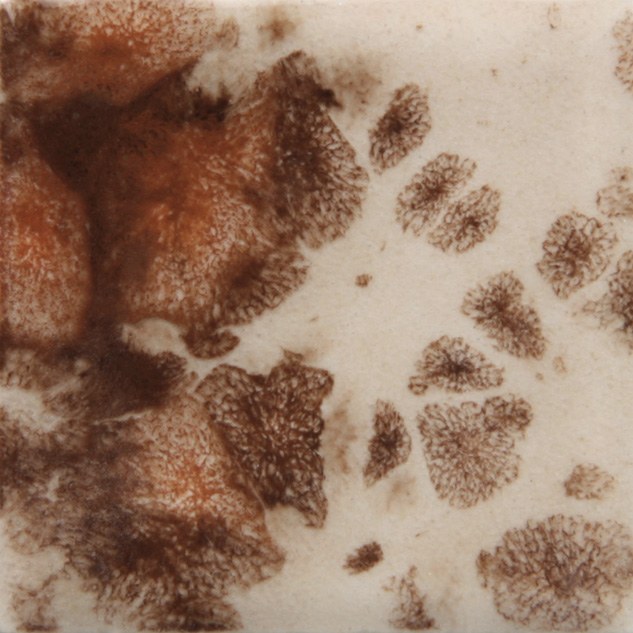 Yadro Print Mayco Jungle Gem - Bath Potters Supplies