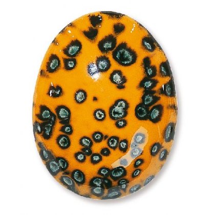 TerraColor Bird Of Paradise Earthenware Brush On Glaze FE5252 TerraColor Bird Of Paradise Earthenware Brush On Glaze FE5252