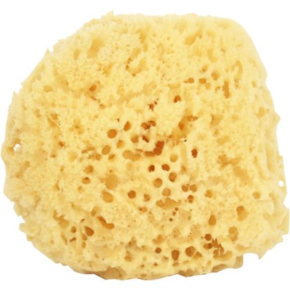 Natural Sponge Natural Sponge