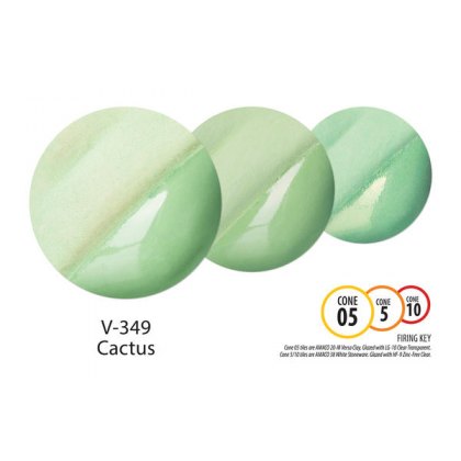 Cactus Amaco Velvet Underglaze V349