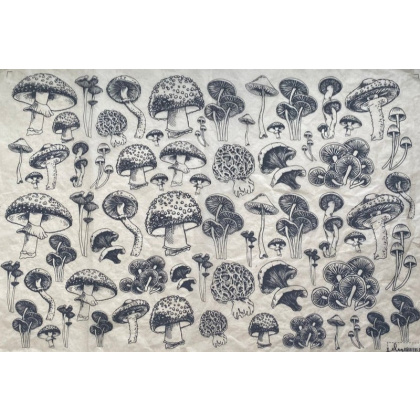 Mushrooms Natural Underglaze Transfer Sheet Mushrooms Natural Underglaze Transfer Sheet
