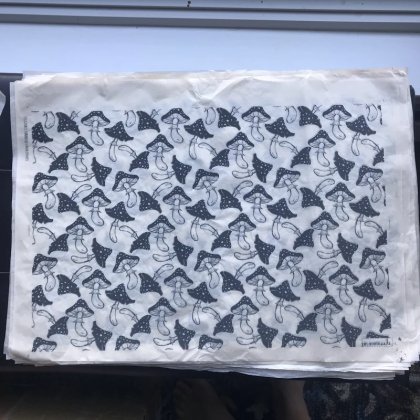 Mushrooms Underglaze Transfer Sheet Mushrooms Underglaze Transfer Sheet