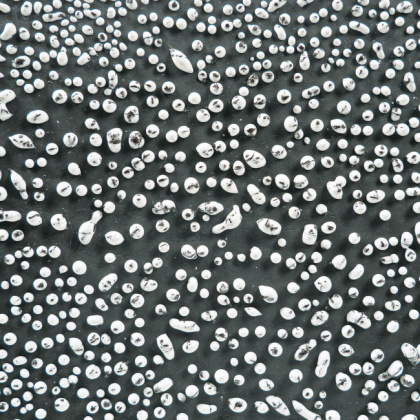 Speckled White Amaco Crawls Glaze