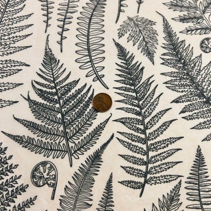 Jungle Ferns Underglaze Transfer Sheet