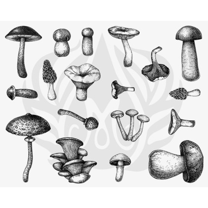 Designer Silkscreen Mushrooms Designer Silkscreen Mushrooms