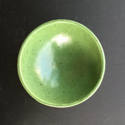 Moss Green Earthenware Glaze 9461