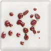 Maroon Spectrum Dry Crystals