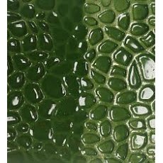 Mid Green Brush On Earthenware Glaze EB11