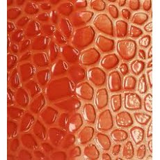 Orange Brush On Earthenware Glaze EB5
