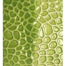 Apple Green Brush On Earthenware Glaze EB7