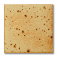 TerraColor Oatmeal Speckled Earthenware Brush On Glaze F5405