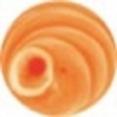 Bright Orange Onglaze 15cc's  P4316