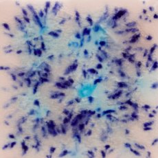 Northern Lights Mayco Crystalite Northern Lights Mayco Crystalite