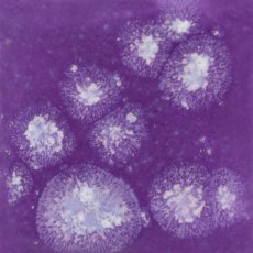 Grape Divine Mayco Crystalite Grape Divine Mayco Crystalite