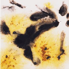 Cheetah Mayco Crystalite Cheetah Mayco Crystalite