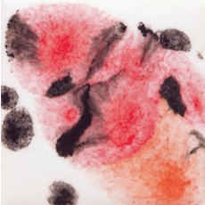 Poppy Fields Mayco Crystalite Poppy Fields Mayco Crystalite