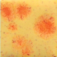 Citrus Splash Mayco Crystalite Citrus Splash Mayco Crystalite