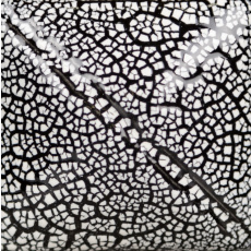 Mayco White Cobblestone Speciality Glaze