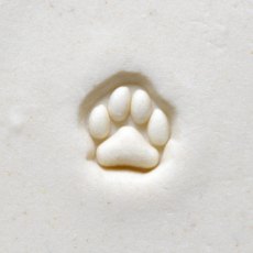 Mini Paw Print MKM Stamp