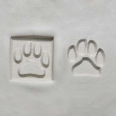 MKM Medium Square Double Ended Dog Paw Print Stamp SSM-144