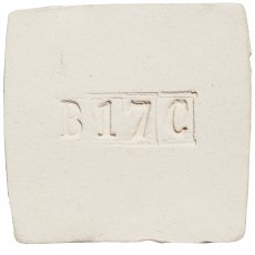 White Stoneware Clay B17C
