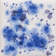 Peacock Eyes Mayco Crystalite Peacock Eyes Mayco Crystalite