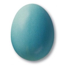 Turquoise Matt Earthenware Powdered Glaze