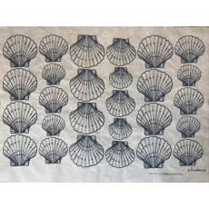Shells Scallop Underglaze Transfer Sheet - Black Shells Scallop Underglaze Transfer Sheet - Black