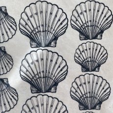 Shells Scallop Underglaze Transfer Sheet - Black