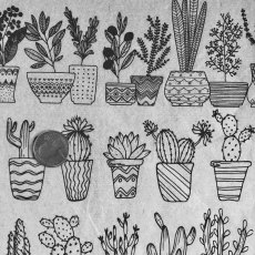 Potted Plants Underglaze Transfer Sheet