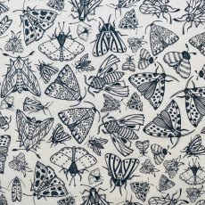 Moths Underglaze Transfer Sheet