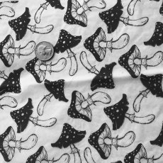 Mushrooms Underglaze Transfer Sheet