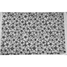 Apple Blossom Underglaze Transfer Sheet Apple Blossom Underglaze Transfer Sheet