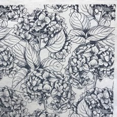 Hydrangea Underglaze Transfer Sheet