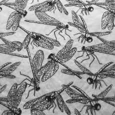Dragonflies Underglaze Transfer Sheet