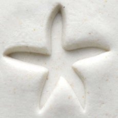 Medium Starfish MKM Stamp