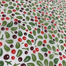 Winter Berries Underglaze Transfer Sheet