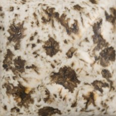 Winter Wood Mayco Stoneware Glaze