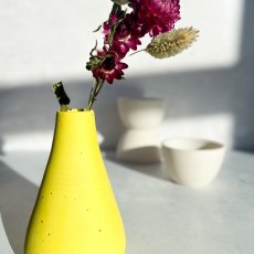 Botz Edition Yellow Stoneware Engobe