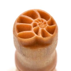 Small Debossed Nautilus MKM Stamp Small Debossed Nautilus MKM Stamp