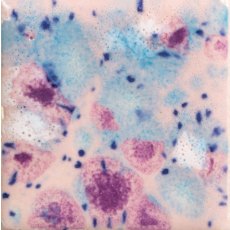 Pink Pixie Mayco Jungle Gem