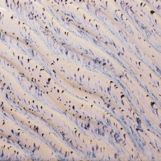 Aurora Breeze Flux Amaco Potters Choice Glaze