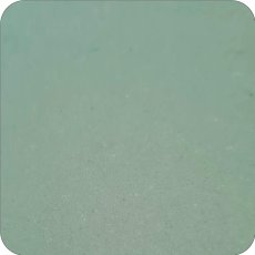 Flint Grey Underglaze Flint Grey Underglaze