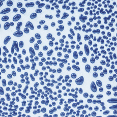 Dark Blue Amaco Crawls Glaze Dark Blue Amaco Crawls Glaze