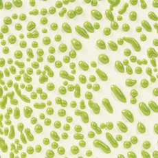 Lime Amaco Crawls Glaze Lime Amaco Crawls Glaze