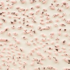 Speckled Pink Amaco Crawls Glaze Speckled Pink Amaco Crawls Glaze