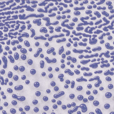 Purple Amaco Crawls Glaze Purple Amaco Crawls Glaze