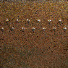 Cosmic Gold Dust Amaco Potters Choice Glaze