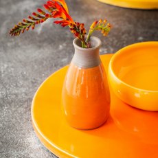 Carnelian 1020°C to 1280°C Botz Pro Glaze
